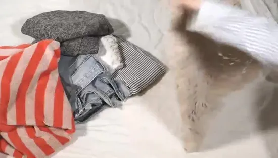 Organisateur de couvertures de literie durables Boîte de rangement pliable Quilt Grands sacs en toile Pochette à linge Sac de rangement pour vêtements à fermeture éclair claire Sac de soutien-gorge pour sous-vêtements pour femmes